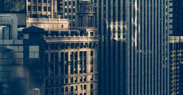 坚果控app官网下载